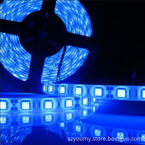 2015 Christmas Light, 5050 LED chip Rope Light with 12V Working Voltage, Blue Color